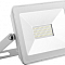 SFL90-30 2835SMD 30W 6400K AC220V/50Hz IP65 белый