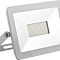 SFL90-50 2835SMD 50W 6400K AC220V/50Hz IP65 белый